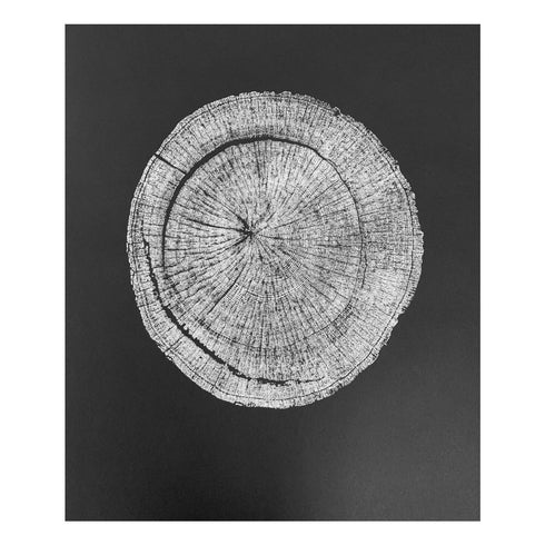 "White Oak" Tree Print - Black Paper